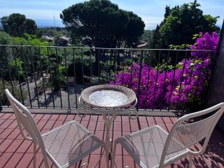 Villa Milone Etna Country House - Zafferana Etnea - 1