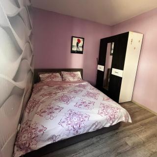 Jovana Apartman Vrnjacka Banja - Vrnjci - 0