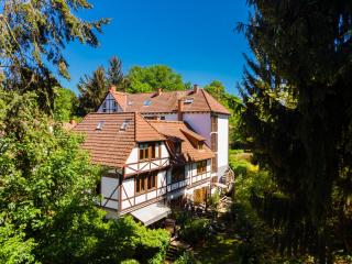 Einliegerwohnung in einer Mühle vor den Toren Frankfurts, ideal für Messegäste oder Stop Over - Dreieich - 4