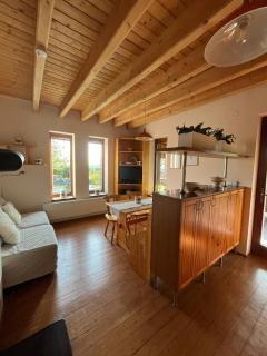 Apartmán u jezírka - Kyjovice - 9