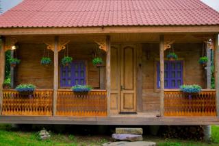 Forest Dream ტყის სიზმარი - Tsʼageri - 6