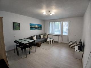 Spacious ground floor apartment Aurora - Kupiškis - 9