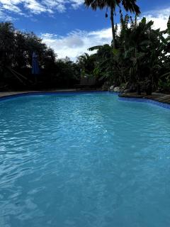Villa tropicale avec piscine à 5 mn de la plage - Les Avirons - 2