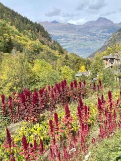Casa le Bouquetin - Introd - 3