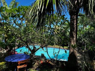 Villa tropicale avec piscine à 5 mn de la plage - Les Avirons - 3