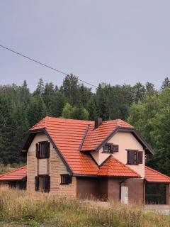 Luxury Villa Dimitrijević SPA - 0
