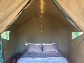 Soetvlei Tented Camp - Magaliesburg - 6