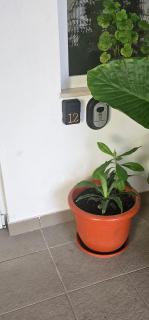 Vera Home 2 - Râmnicu Vâlcea - 1
