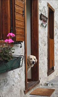 Holiday home in Tiarno di Sotto 23505 - 4