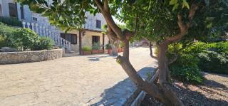 Casa DARIO - Locorotondo - 3