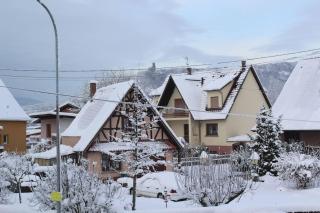 Gîte ''Les Bleuets'' - Scherwiller - 4