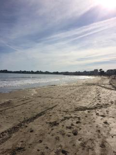 Studio dans les pins à 2 pas de la plage - 7