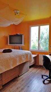 Chambre étudiant, stagiaire, mission, location 30 NUITS MINIMUM, accès cuisine et jardin - La Copechagnière - 0