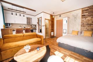 Mountain Studio - Ski in and out - FREE Spa - Bansko - 8