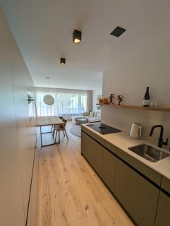 Casa Zundra Alpine Apartment - Flims - 4