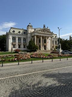 Iasi Ultra Central Apartment Self Check-In - Iaşi - 9
