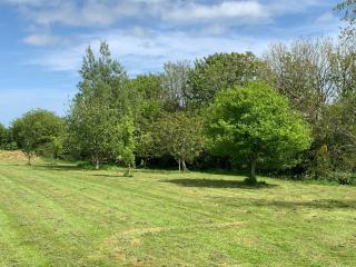 Countryside Cabin in Private Setting - 2