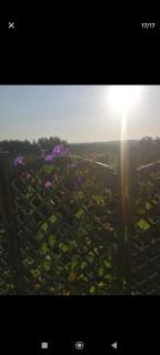 Chez Muriel et Elain - 4