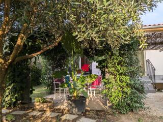 La Maison sous l'olivier - Morières-lès-Avignon - 0