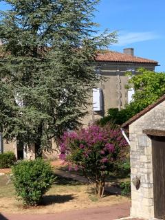 The Cool Lounge à Coulonges - Charente - Coulonges - 9