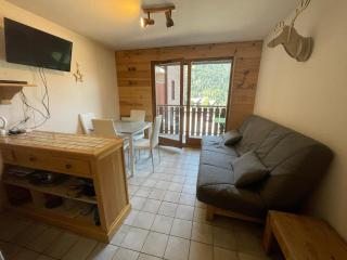 Le Pied des Pistes A13, Joli Studio tout confort 4 pers, vue vallée imprenable, DRAPS NON COMPRIS - Saint-Jean-dʼAulps - 9