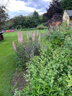 The Studio - Hook Norton - 3