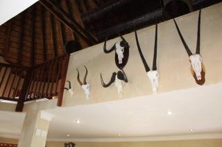 Zebula Lodge 132 - Mabula - 3