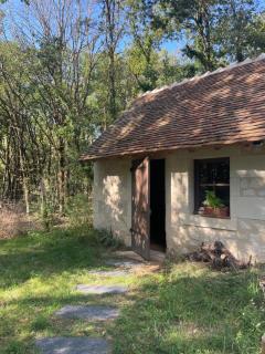 Immersion dans une loge de vigne - Ingrandes-de-Touraine - 0