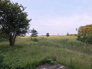 Felix Balena - get away op Texel - 8