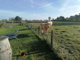 Gite la grange des Landes - Mauléon - 3
