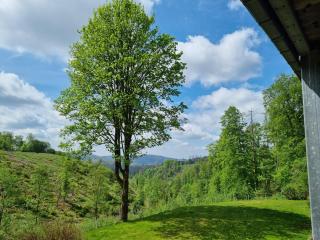 Ferienwohnung-Harzidyllisch - 8