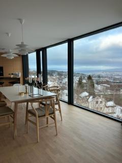 Exclusive villa - Ski-VM Trondheim 2025 - Trondheim - 0