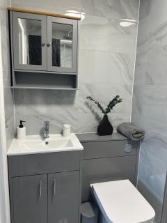 New apartment 2 - Brentford - 9