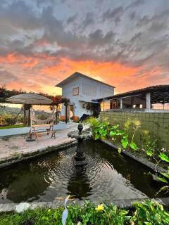 Casa Grande Coffee House - El Guayabo - 8