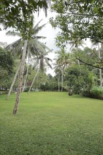 Vazhemadom Homestay - Kottayam - 2