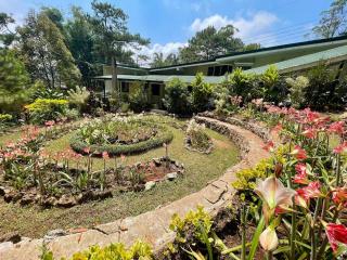 Mid-Century Modern Centrally Located Garden Oasis - 5