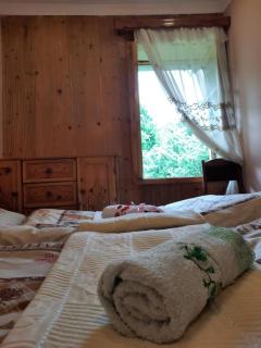 guest house FANGANI - Mestia - 1