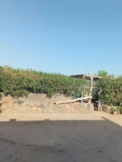 A private beach House Eel Garden - Dahab - 5