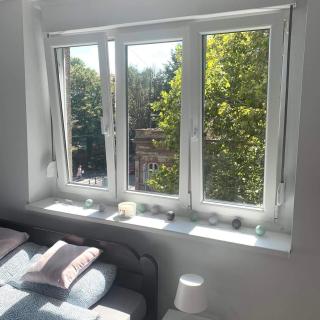 Apartman Vojvoda - Sajmište - 3