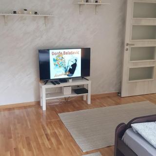 Apartman Vojvoda - Sajmište - 2
