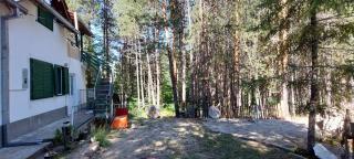Forest villa Atlantic - Berovo - 0