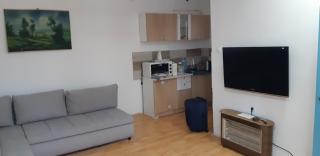 Forest villa Atlantic - Berovo - 8