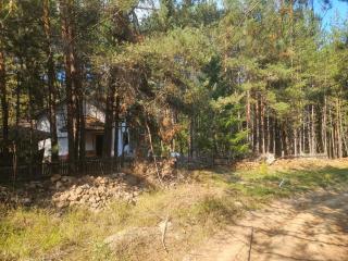 Forest villa Atlantic - Berovo - 7