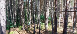 Forest villa Atlantic - Berovo - 4