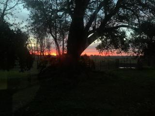 La Angelita Este - Cucullú - 7