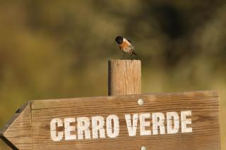 Finca Cerro Verde - 5