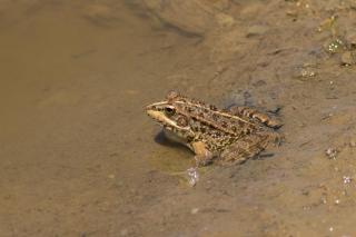 Finca Cerro Verde - 2