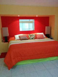Gorgeous Open Concept Apartment - Santa Cruz Huatulco - 8