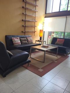 Gorgeous Open Concept Apartment - Santa Cruz Huatulco - 6