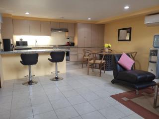 Gorgeous Open Concept Apartment - Santa Cruz Huatulco - 1